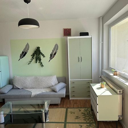 ארפורט Ruhige Sonnige 1,5 Zimmer Wohnung מראה חיצוני תמונה